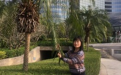 女人为男人吹箫的技巧与表现